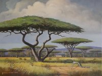 Oil on Stretched CanvasSize: (610x455x18)mm Frame: (776X571X30)mmSOLD 2012 SOUTH AFRICA